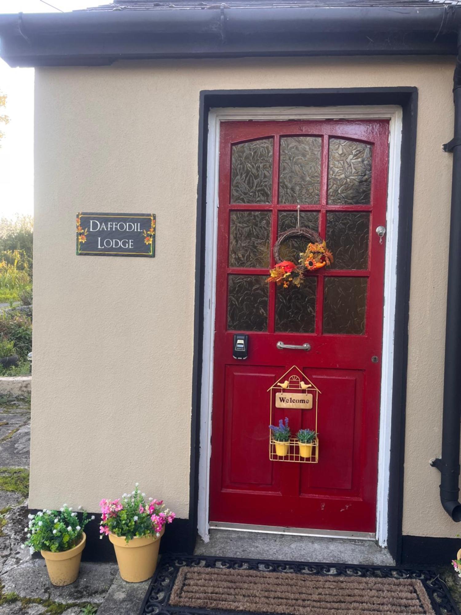 Daffodil Lodge 斯莱戈 外观 照片